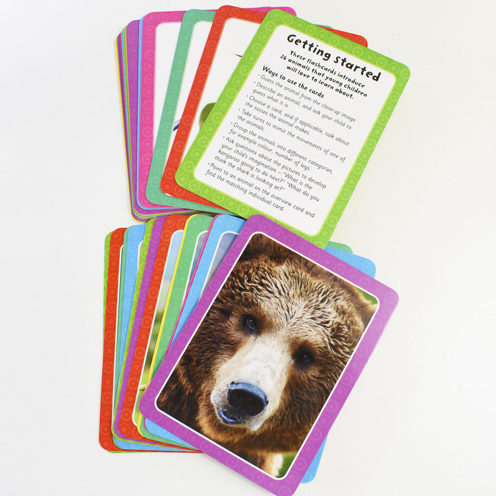 Flashcards ABC,123,Animals,Colour Get Set Go Pack 3+ Miles Kelly