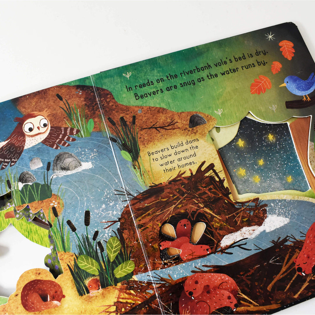 Age 0-5 - Little Explorers Goodnight World 3 Books Box Carmen Saldana - Ages 0-5 - Boardbooks